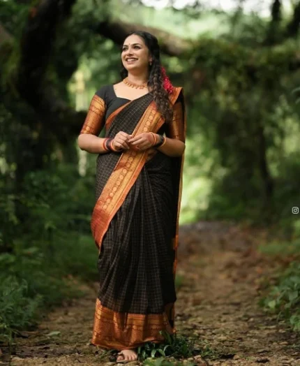 Narayanpet Sarees with Checks