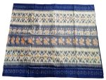 Pochampally Sarees Online – Authentic Ikat Handloom Silk & Cotton Sarees - Image 2